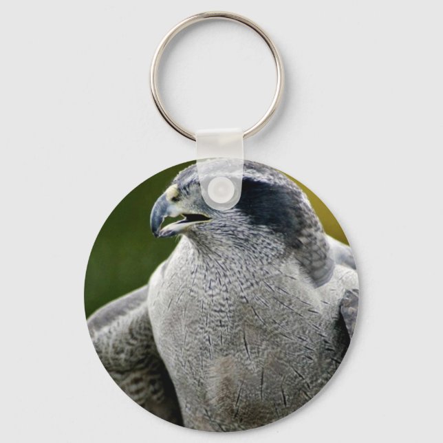 Northern Goshawk Key Ring (Front)