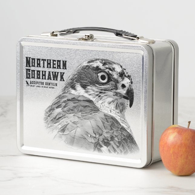Northern Goshawk Metal Lunch Box (In Situ)