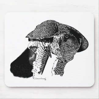 Northern Goshawk Mouse Mat