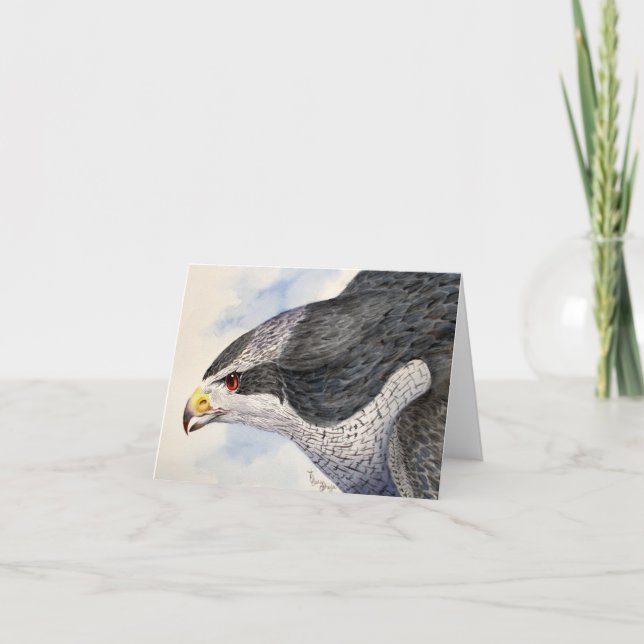 Northern Goshawk Note Card (Front)