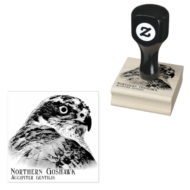 Northern Goshawk Rubber Stamp (Stamped)