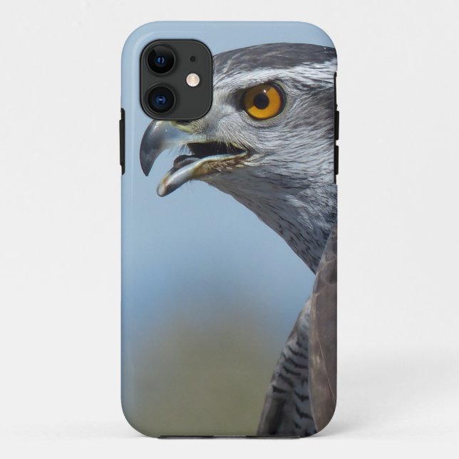 Northern Goshawk Screeching Case-Mate iPhone Case (Back)