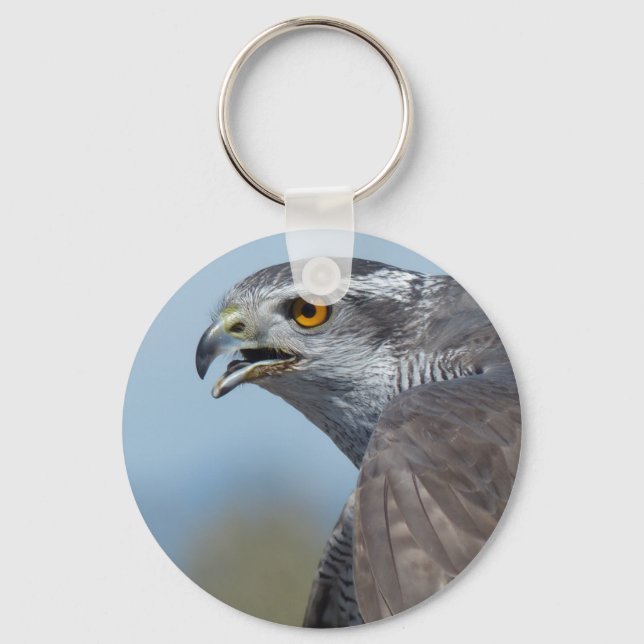 Northern Goshawk Screeching Key Ring (Front)