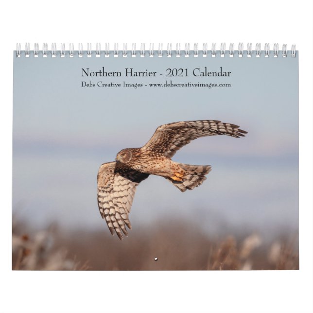 Northern Harrier 2021 Calendar (Cover)