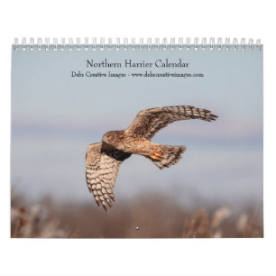 Northern Harrier 2025 Calendar