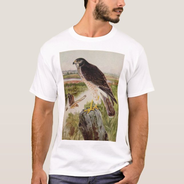 Northern Harrier, 2 ages T-Shirt (Front)
