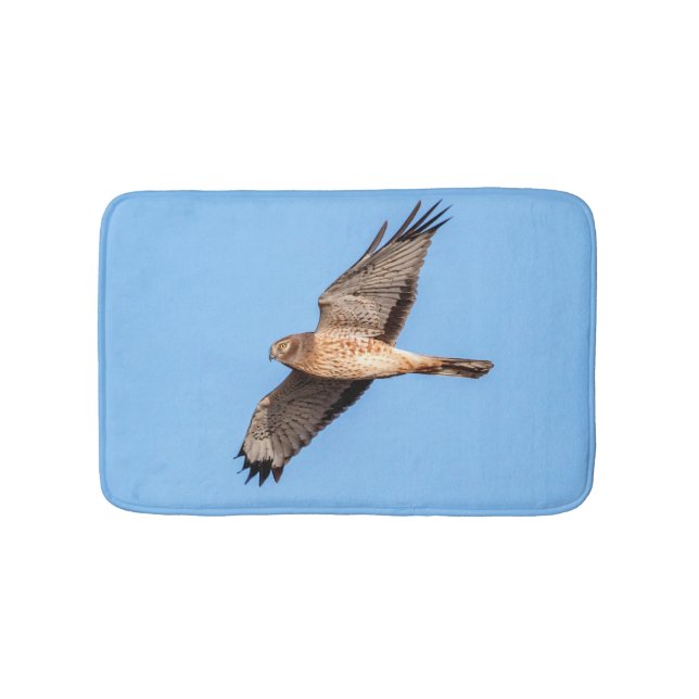 Northern Harrier in Flight Bath Mat (Front)