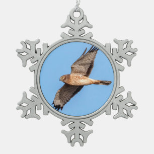 Northern Harrier in Flight Snowflake Pewter Christmas Ornament