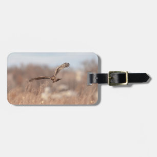 Northern Harrier Luggage Tag