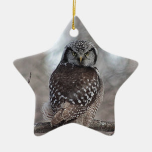 Northern Hawk Owl Ceramic Tree Decoration