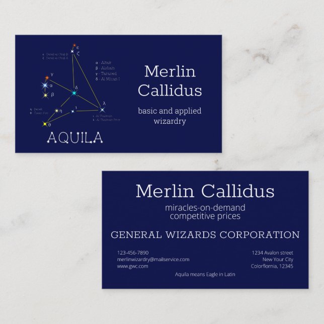 Northern Hemisphere Constellation Aquila Business Card (Front/Back)