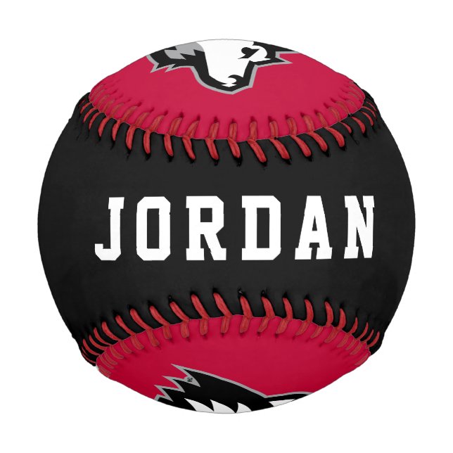 Northern Illinois Huskies Baseball (Back)