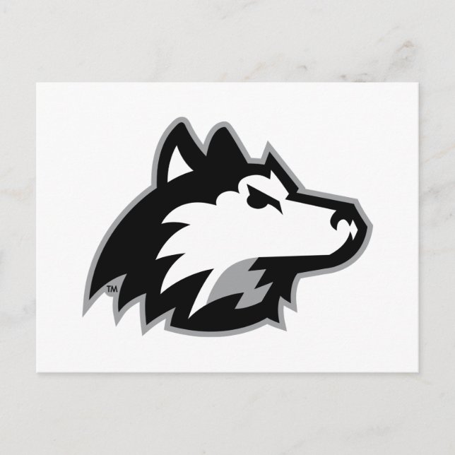 Northern Illinois Huskies Postcard (Front)