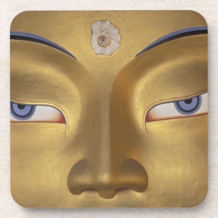 Northern India, Ladakh, Thikse gompa Coaster