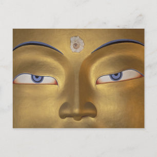 Northern India, Ladakh, Thikse gompa Postcard