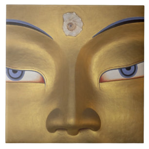 Northern India, Ladakh, Thikse gompa Tile
