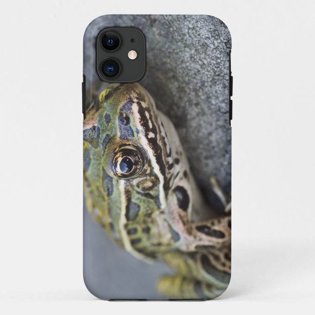Northern Leopard frog, See-through Island, Case-Mate iPhone Case (Back)