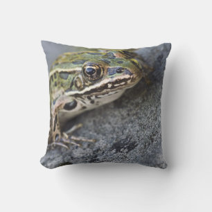 Northern Leopard frog, See-through Island, Cushion