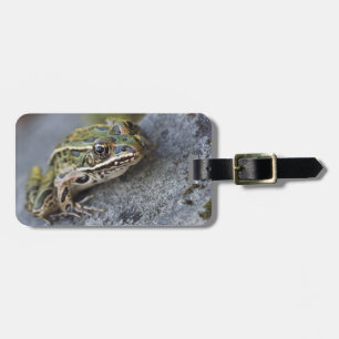 Northern Leopard frog, See-through Island, Luggage Tag