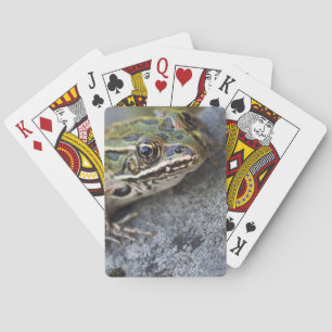 Northern Leopard frog, See-through Island, Playing Cards