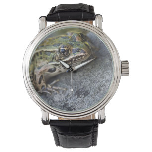 Northern Leopard frog, See-through Island, Watch