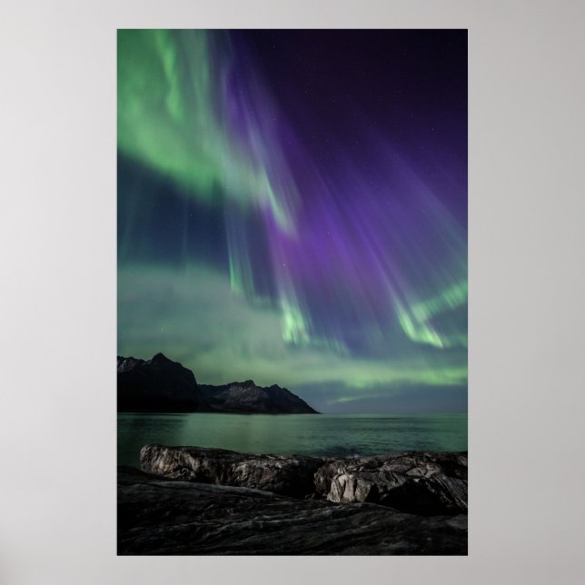 Northern Light Poster (Front)