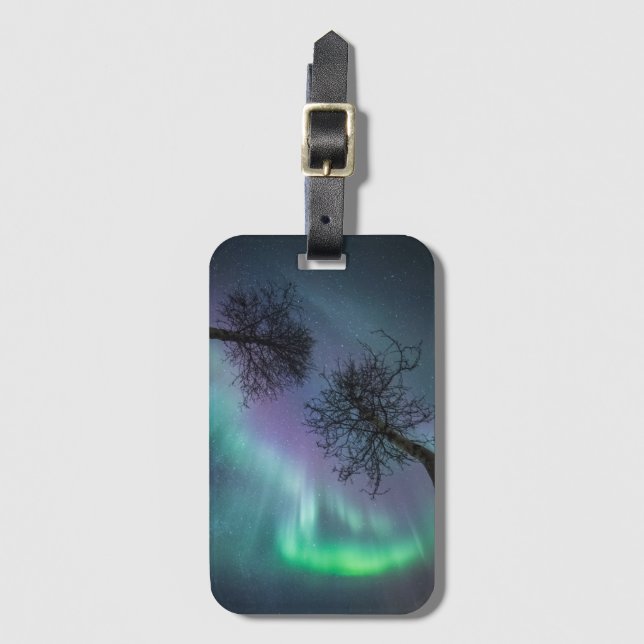 Northern Light Trees Luggage Tag (Front Vertical)