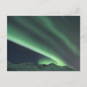 Northern Lights 2 Postcard