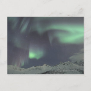 Northern Lights 3 Postcard