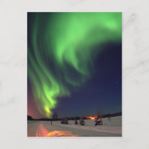 Northern Lights at Bear Lake Postcard