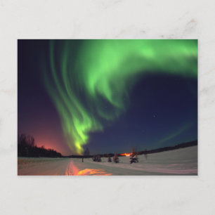 Northern Lights at Bear Lake Postcard