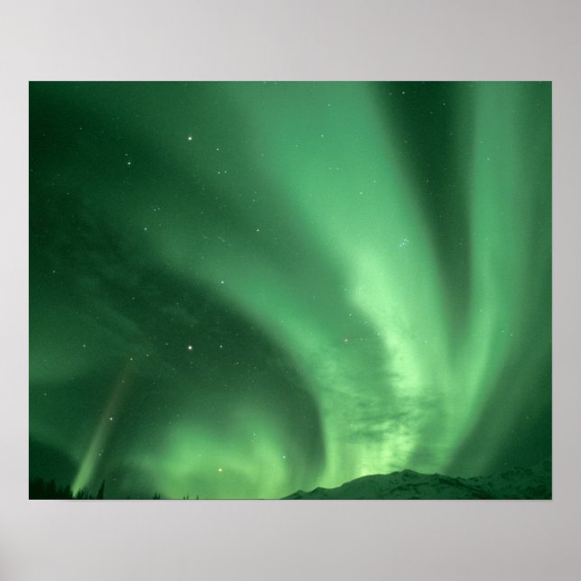 Northern lights, Aurora borealis, over foothills Poster (Front)