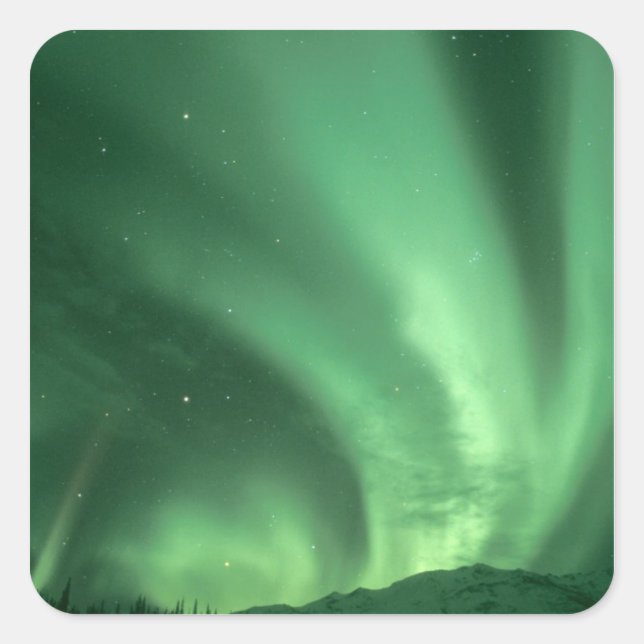 Northern lights, Aurora borealis, over foothills Square Sticker (Front)