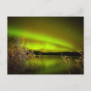 Northern lights (Aurora borealis) Postcard
