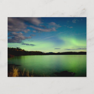 Northern lights (Aurora borealis) Postcard