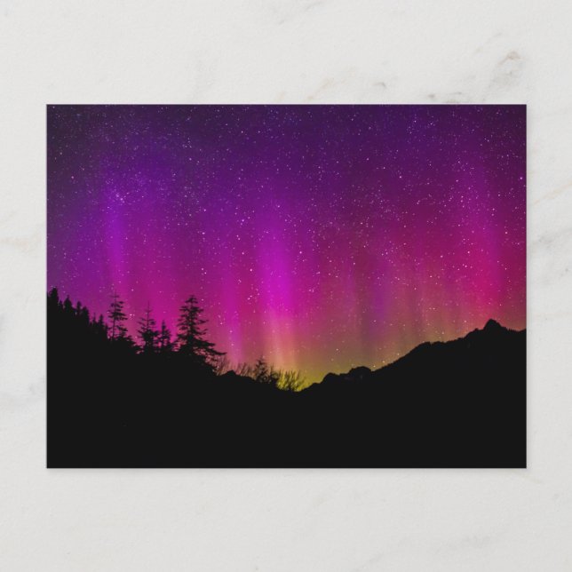Northern Lights Aurora Borealis Starry Night Sky Postcard (Front)