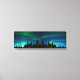 Northern Lights Canvas Print
