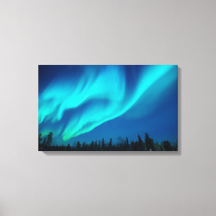 Northern lights canvas print