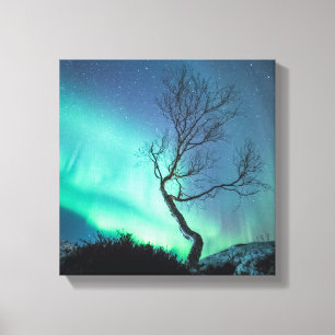 Northern Lights Canvas Print