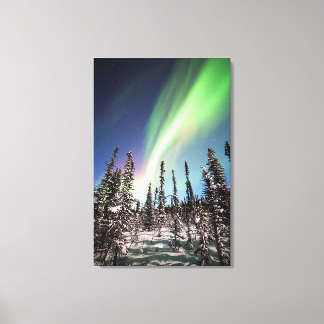 Northern Lights | Denali National Park Canvas Print (Front)
