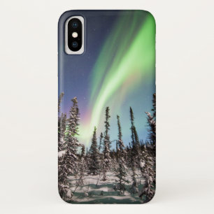 Northern Lights   Denali National Park iPhone X Case