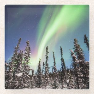 Northern Lights   Denali National Park Glass Coaster