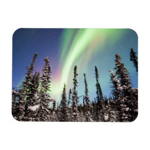 Northern Lights   Denali National Park Magnet