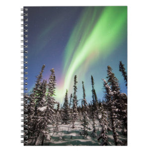 Northern Lights   Denali National Park Notebook