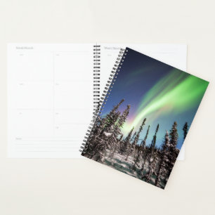 Northern Lights   Denali National Park Planner