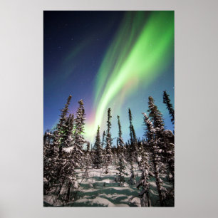 Northern Lights   Denali National Park Poster