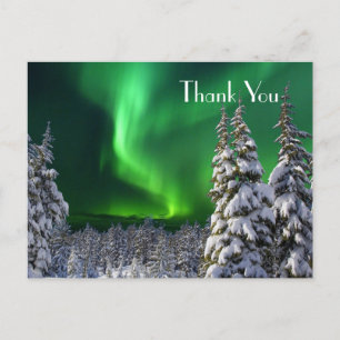 Northern lights during winter   postcard