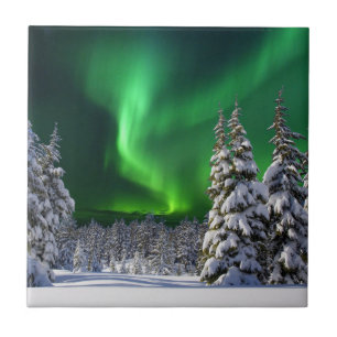 Northern lights during winter tile