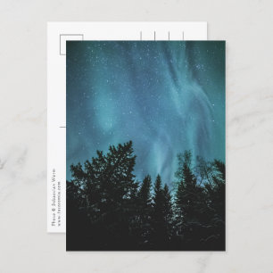 Northern Lights Forest Postcard