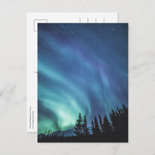 Northern Lights Forest Postcard